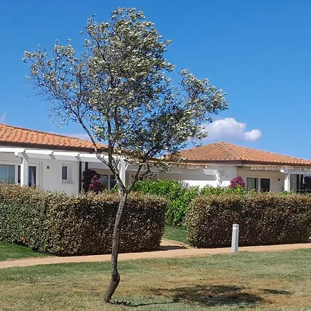 Abbaia Ba 4* 부도니